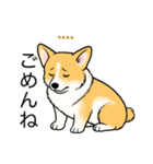 名前入りコーギーしっぽあり（個別スタンプ：6）