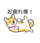 名前入りコーギーしっぽあり（個別スタンプ：9）