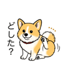 名前入りコーギーしっぽあり（個別スタンプ：10）
