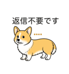 名前入りコーギーしっぽあり（個別スタンプ：11）