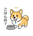 名前入りコーギーしっぽあり（個別スタンプ：12）