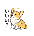 名前入りコーギーしっぽあり（個別スタンプ：13）