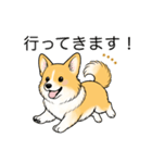 名前入りコーギーしっぽあり（個別スタンプ：14）