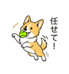 名前入りコーギーしっぽあり（個別スタンプ：15）