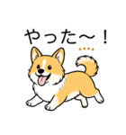 名前入りコーギーしっぽあり（個別スタンプ：19）