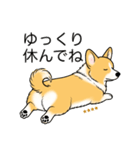 名前入りコーギーしっぽあり（個別スタンプ：20）