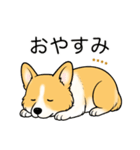 名前入りコーギーしっぽあり（個別スタンプ：21）