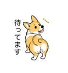 名前入りコーギーしっぽあり（個別スタンプ：24）