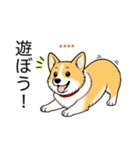 名前入りコーギーしっぽなし（個別スタンプ：3）