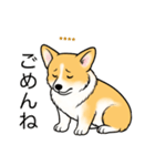 名前入りコーギーしっぽなし（個別スタンプ：6）