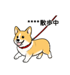 名前入りコーギーしっぽなし（個別スタンプ：8）