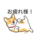 名前入りコーギーしっぽなし（個別スタンプ：9）
