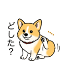 名前入りコーギーしっぽなし（個別スタンプ：10）