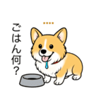 名前入りコーギーしっぽなし（個別スタンプ：12）