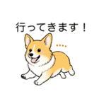 名前入りコーギーしっぽなし（個別スタンプ：14）