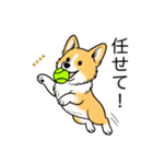 名前入りコーギーしっぽなし（個別スタンプ：15）