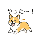 名前入りコーギーしっぽなし（個別スタンプ：19）