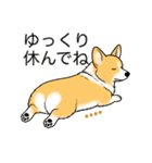 名前入りコーギーしっぽなし（個別スタンプ：20）