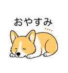 名前入りコーギーしっぽなし（個別スタンプ：21）