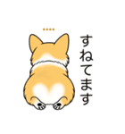 名前入りコーギーしっぽなし（個別スタンプ：22）