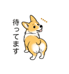 名前入りコーギーしっぽなし（個別スタンプ：24）