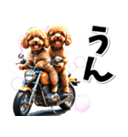 即返信♡バイク好き トイプードル（個別スタンプ：1）