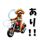 即返信♡バイク好き トイプードル（個別スタンプ：3）