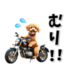 即返信♡バイク好き トイプードル（個別スタンプ：4）