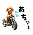 即返信♡バイク好き トイプードル（個別スタンプ：5）