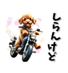 即返信♡バイク好き トイプードル（個別スタンプ：7）