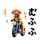 即返信♡バイク好き トイプードル（個別スタンプ：8）