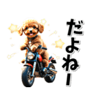 即返信♡バイク好き トイプードル（個別スタンプ：9）