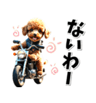即返信♡バイク好き トイプードル（個別スタンプ：10）