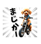 即返信♡バイク好き トイプードル（個別スタンプ：11）