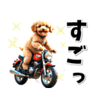 即返信♡バイク好き トイプードル（個別スタンプ：13）