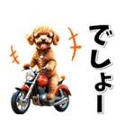 即返信♡バイク好き トイプードル（個別スタンプ：14）