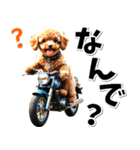 即返信♡バイク好き トイプードル（個別スタンプ：16）