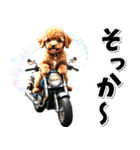 即返信♡バイク好き トイプードル（個別スタンプ：17）