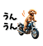 即返信♡バイク好き トイプードル（個別スタンプ：18）