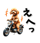 即返信♡バイク好き トイプードル（個別スタンプ：19）