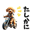 即返信♡バイク好き トイプードル（個別スタンプ：21）