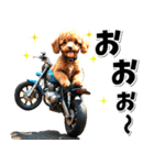 即返信♡バイク好き トイプードル（個別スタンプ：24）