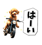 即返信♡バイク好き トイプードル（個別スタンプ：26）