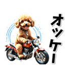 即返信♡バイク好き トイプードル（個別スタンプ：27）
