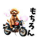 即返信♡バイク好き トイプードル（個別スタンプ：29）
