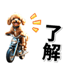即返信♡バイク好き トイプードル（個別スタンプ：30）