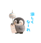 ふんわりペンちゃんの夏 3D（個別スタンプ：15）