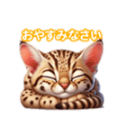 とにかくかわいい オシキャット（個別スタンプ：6）