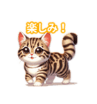 とにかくかわいい オシキャット（個別スタンプ：19）