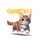 とにかくかわいい オシキャット（個別スタンプ：36）